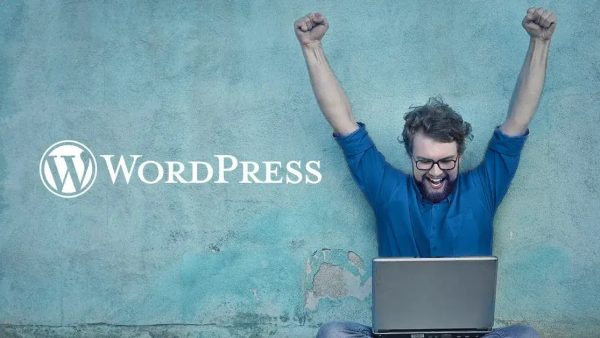 wordpress theme builders