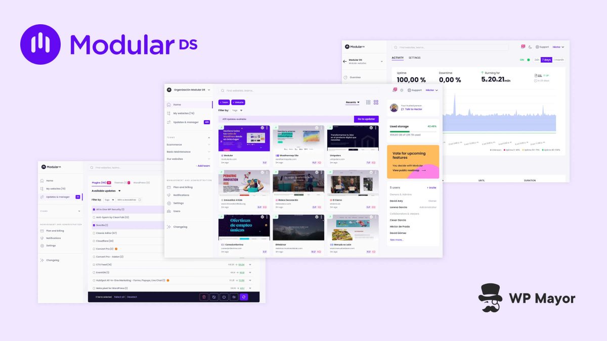 Modular DS Streamlines WordPress Maintenance for Agencies and Freelancers