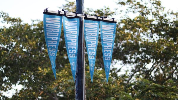 wordpress education programs