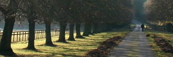 wordcamp mukono 2025