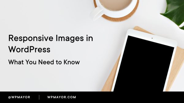 responsive images in wordpress