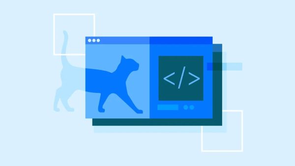 WordPress GitHub workflows