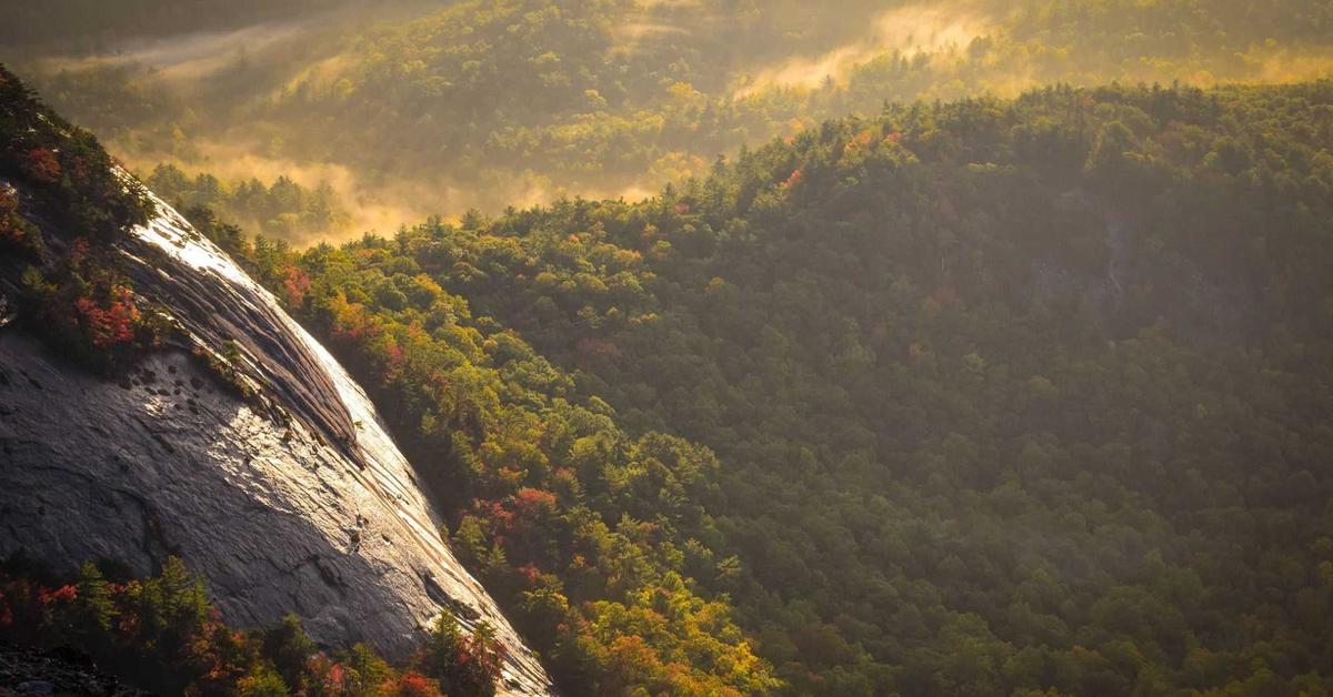 Critical Arbitrary File Upload Vulnerability in WPvivid Plugin Threatens 800,000 Sites