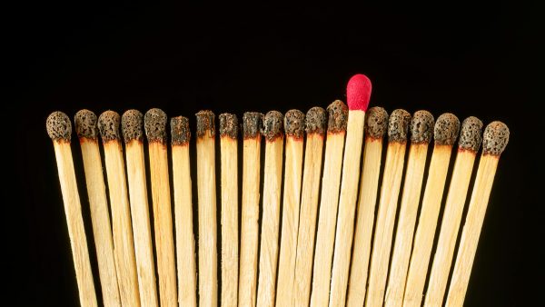 wordpress burnout recovery