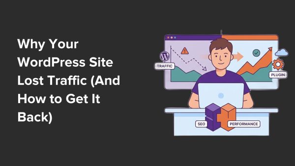 wordpress site traffic