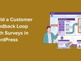 customer feedback loop wordpress