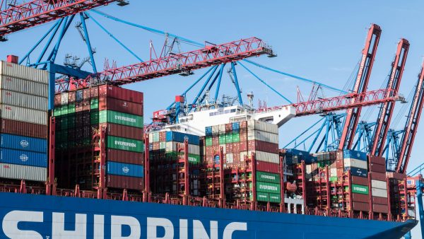 docker wordpress control panel