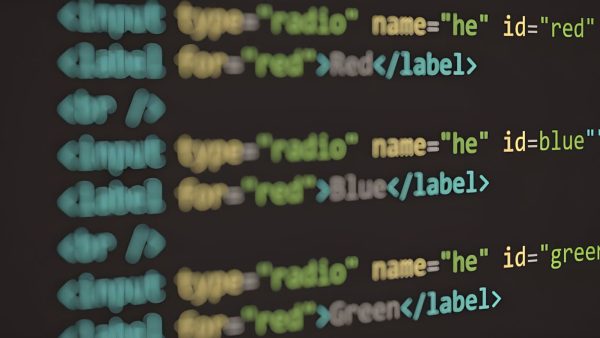 wordpress accessibility guidelines