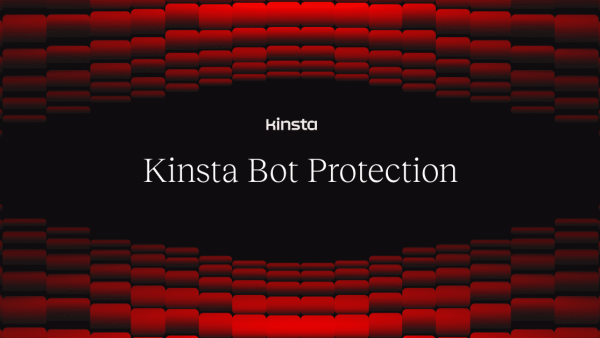 Kinsta Bot Protection